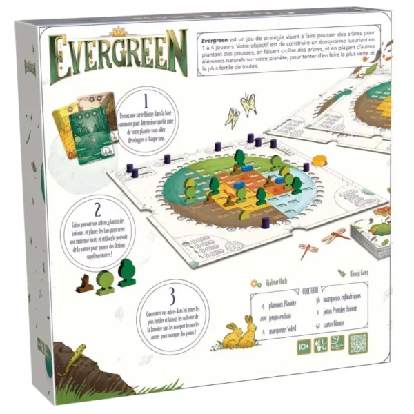 Evergreen – Image 3